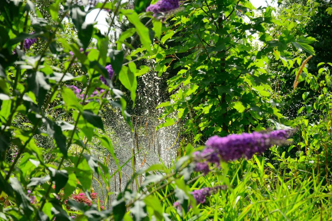 Harlingen Garden